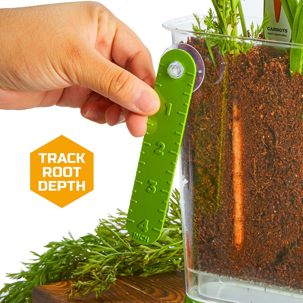 Discovery™ Edible Veggie Garden Watch-It-Grow Kit – DIY STEM Activity for Kids | Grow Carrots, Radishes & Onions