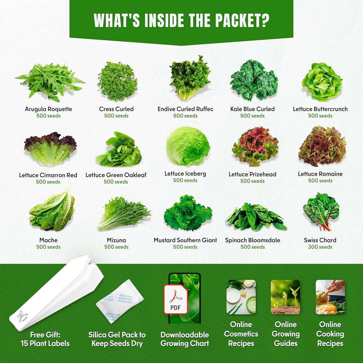 20 Vegetable + 15 Lettuce & Salad Greens + 15 Medicinal Herb Seeds Variety Pack Bundle 14150+ Non-GMO Heirloom Garden