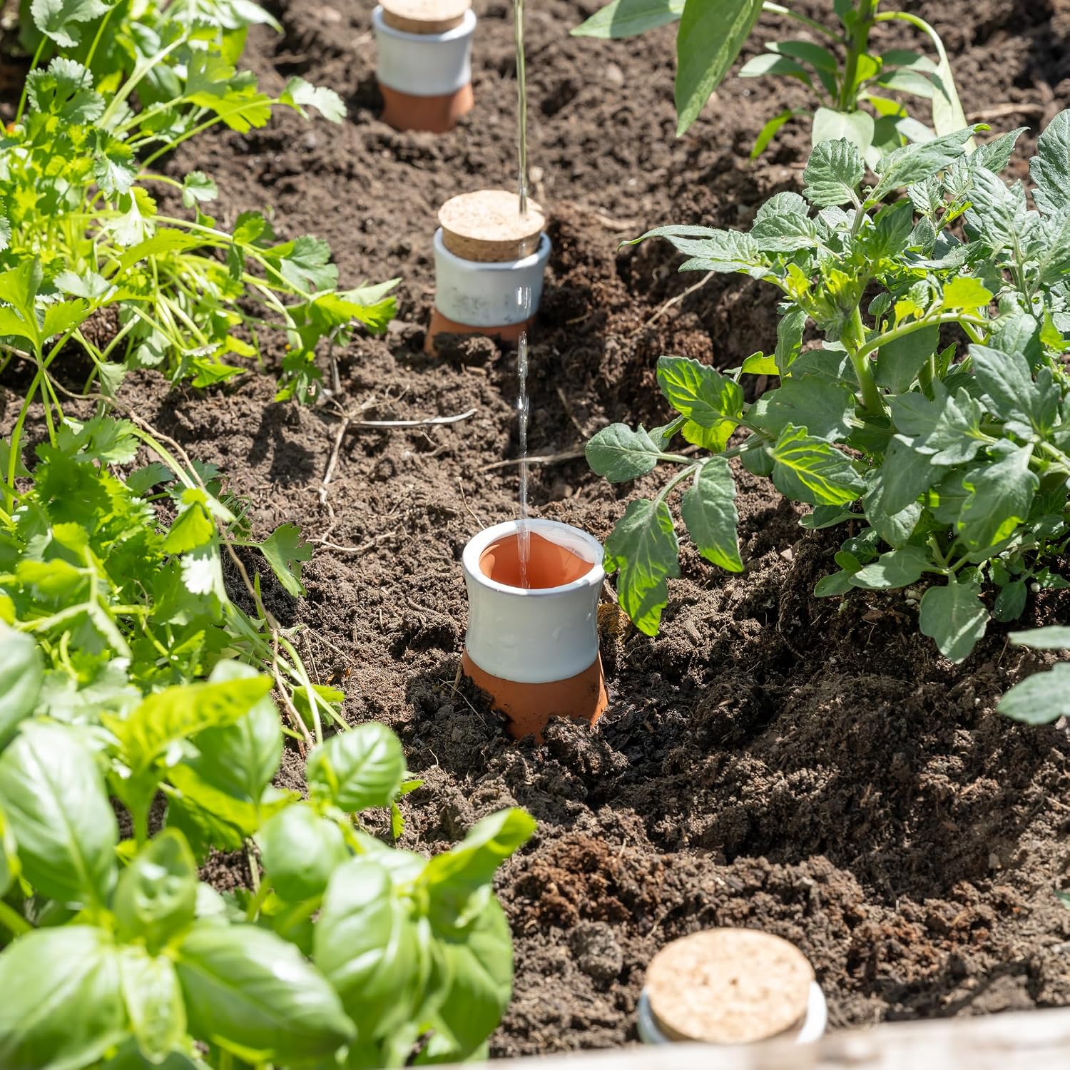 Plant Self Watering Globes - Terracotta Watering Spikes - Slow Release Olla Watering Pots - Drip Irrigiation Olla System