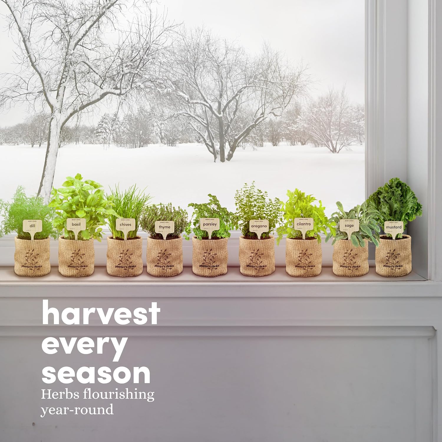 9 Herb Indoor Window Garden Kit - House Plants Seeds - Birthday Gifts | Best Unique Gift Ideas for Women, Mom, Friend