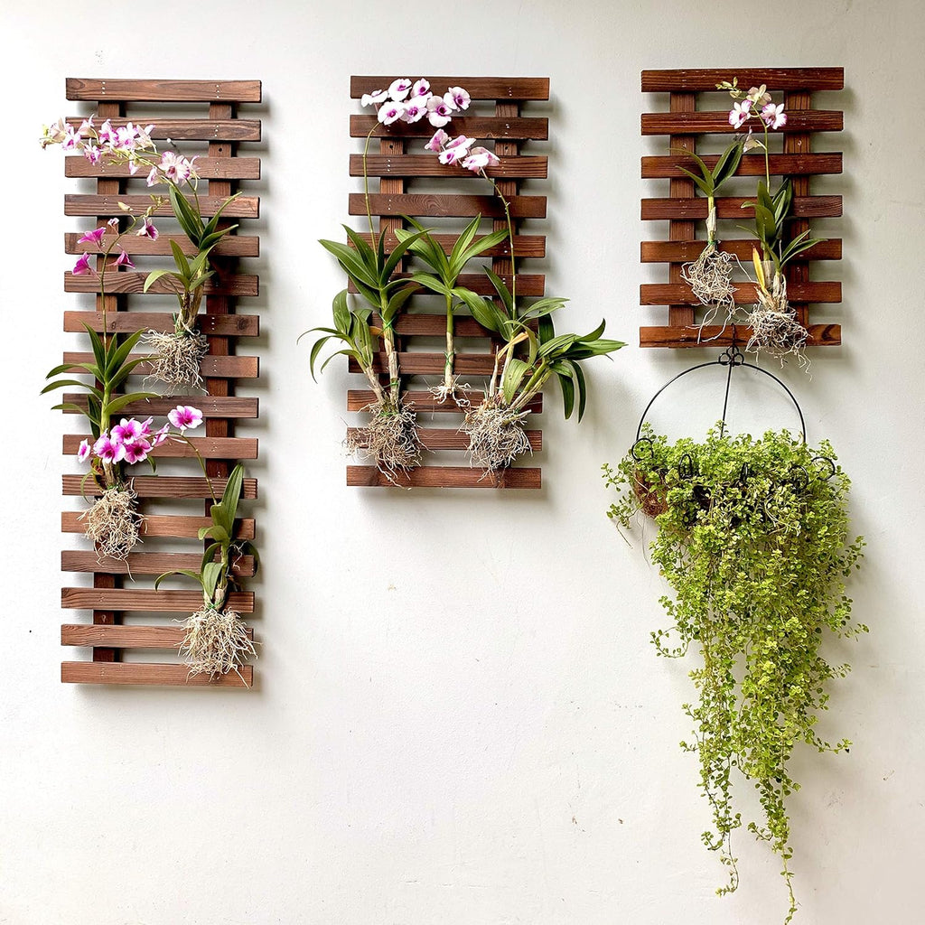 ShopLaLa Wall Planter (3 Pack) Wooden Hanging Planter for Indoor Plants | Air Plant Succulent Holder, Live Vertical