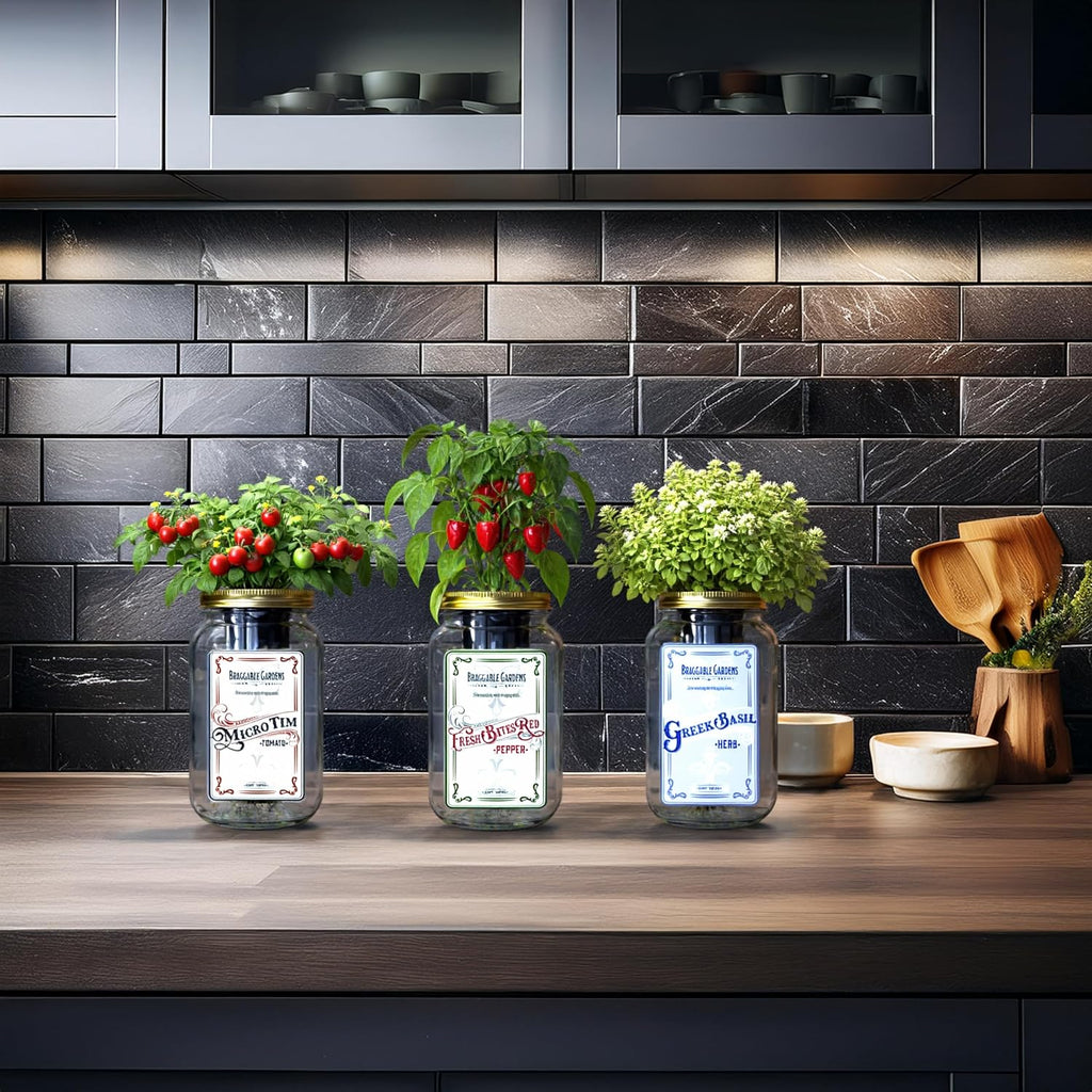 Italian Pizza Garden Mason Jar Kit (3 Pack) – Tiny Tim Tomato, Greek Basil & Mini Red Bell Pepper – Indoor Hydroponic