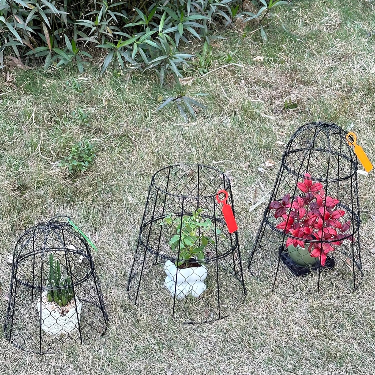 6 Pack 11.4" D x 17.7" H Garden Cloches for Plants,Rustproof Chicken Wire Cloches Flip-Top Design,Upgraded Triple