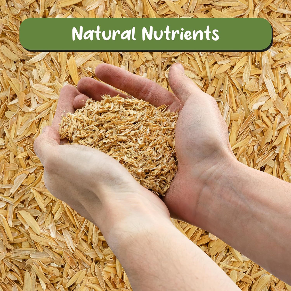 Soil Sunrise Organic Horticultural Grade Rice Hulls (8 Quarts) All-Natural Soil Amendment for Houseplants, Gardening