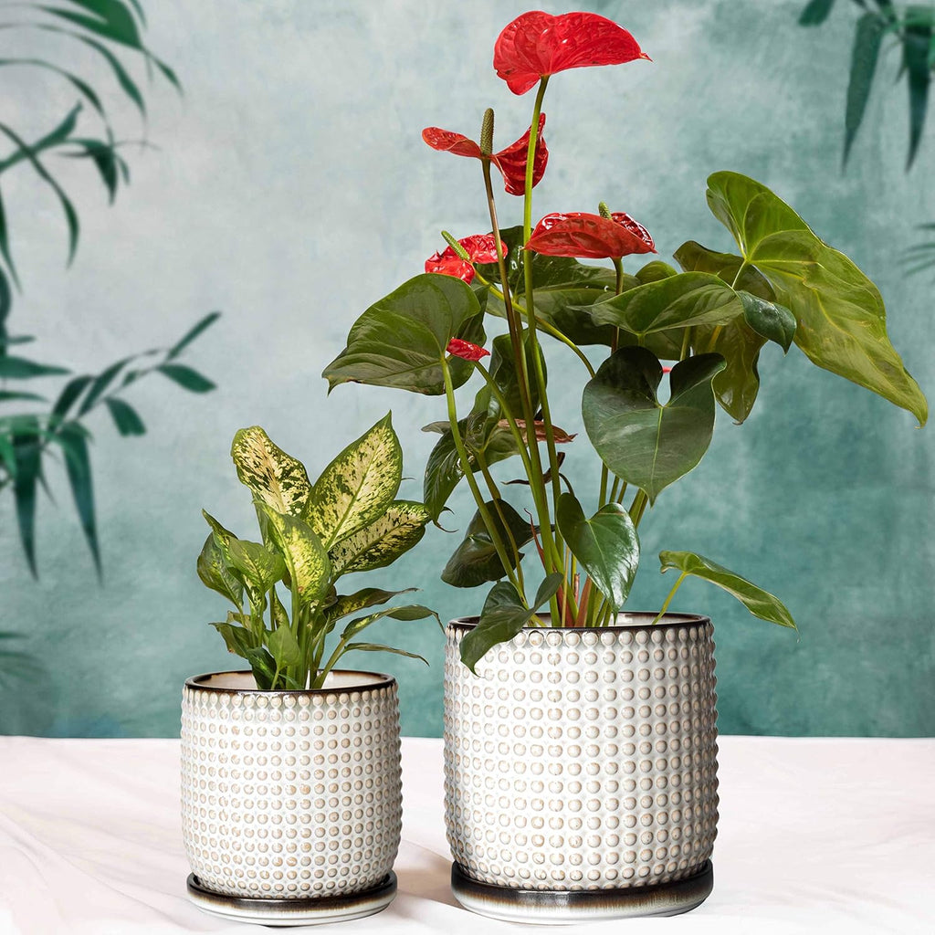 D'vine Dev Beaded Ceramic Planter Pots, 4/6 in, Smoked White, 27-D-U-1 | Embossed Dot Texture, with Drainage Hole and