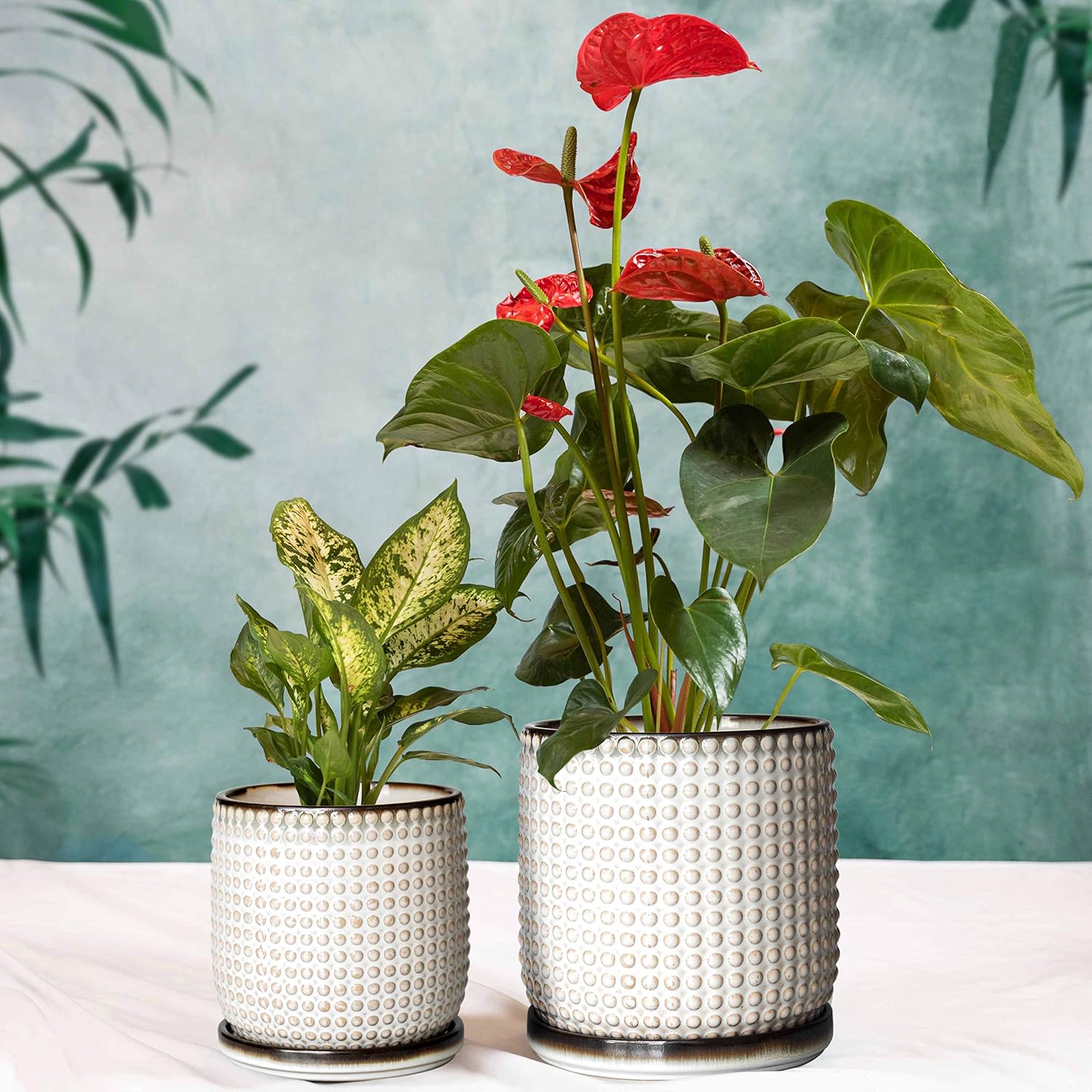 D'vine Dev Beaded Ceramic Planter Pots, 4/6 in, Smoked White, 27-D-U-1 | Embossed Dot Texture, with Drainage Hole and