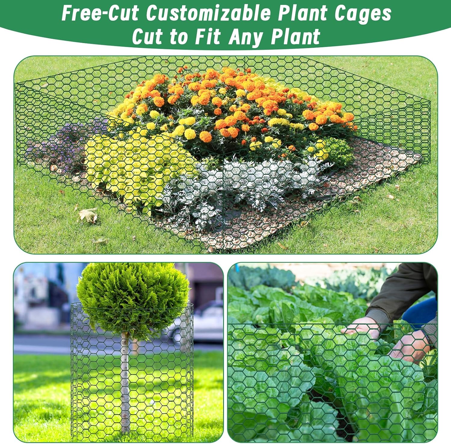 Convivium Plant Protectors from Animals, 0.8mm Free-Cut Green Chicken Wire Mesh, PVC Coated Tree Trunk Guard & Garden
