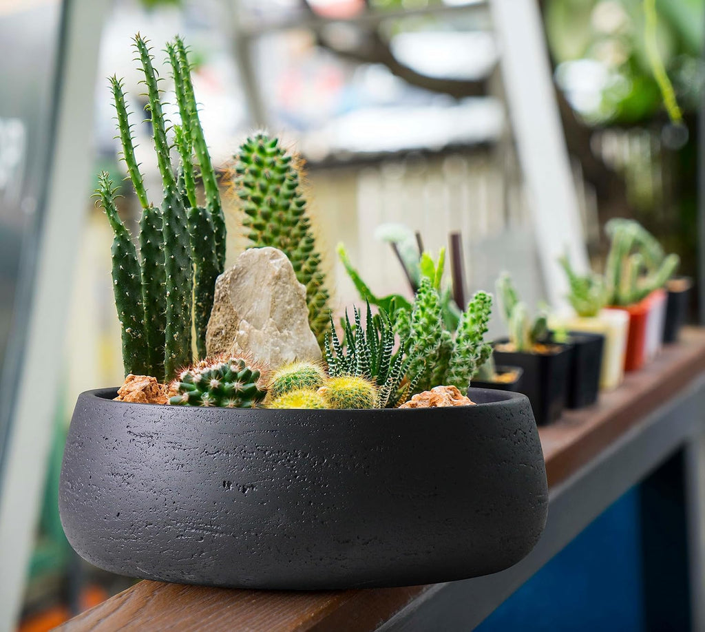 Olly & Rose Copenhagen Large Ceramic Planter Bowl Shallow Plant Pot - Matt Black Flower Pot Indoor and Outdoor Garden