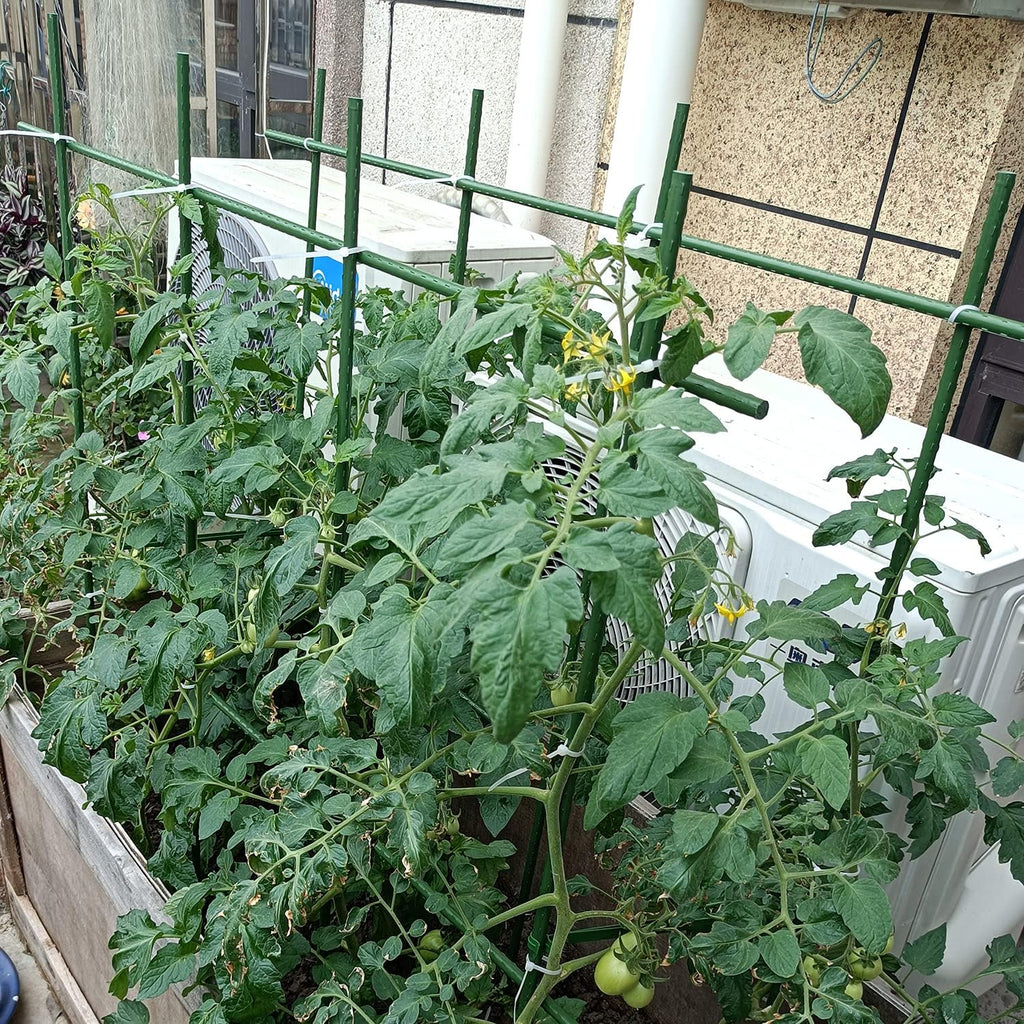 3Feet 36inch Garden Stakes Sturdy Plant Sticks Support Tomato Stakes for Vegetable,Pack of 20