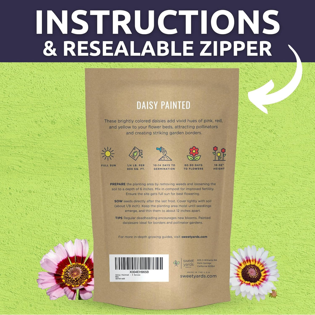 Painted Daisy - Bulk 1/4 Pound Pouch - 40,000 Flower Seeds for Planting - Chrysanthemum carinatum