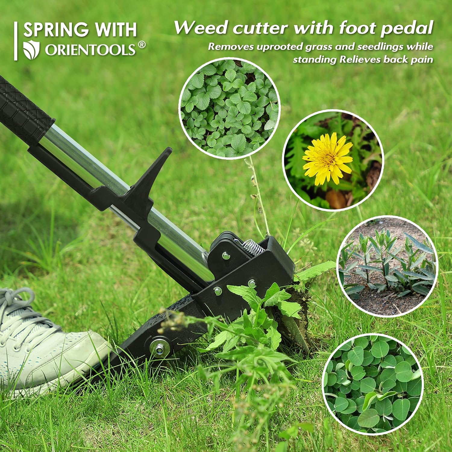 ORIENTOOLS Weed Puller, Stand Up Weed Puller, 32 to 41 inch Long Handle, Upgrade Detachable Telescopic Handle Garden
