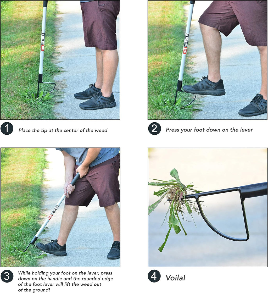 Standing Plant Root Remover and Weed Puller - Lightweight and Durable Metal Design with Aluminum Shaft and Steel Claw
