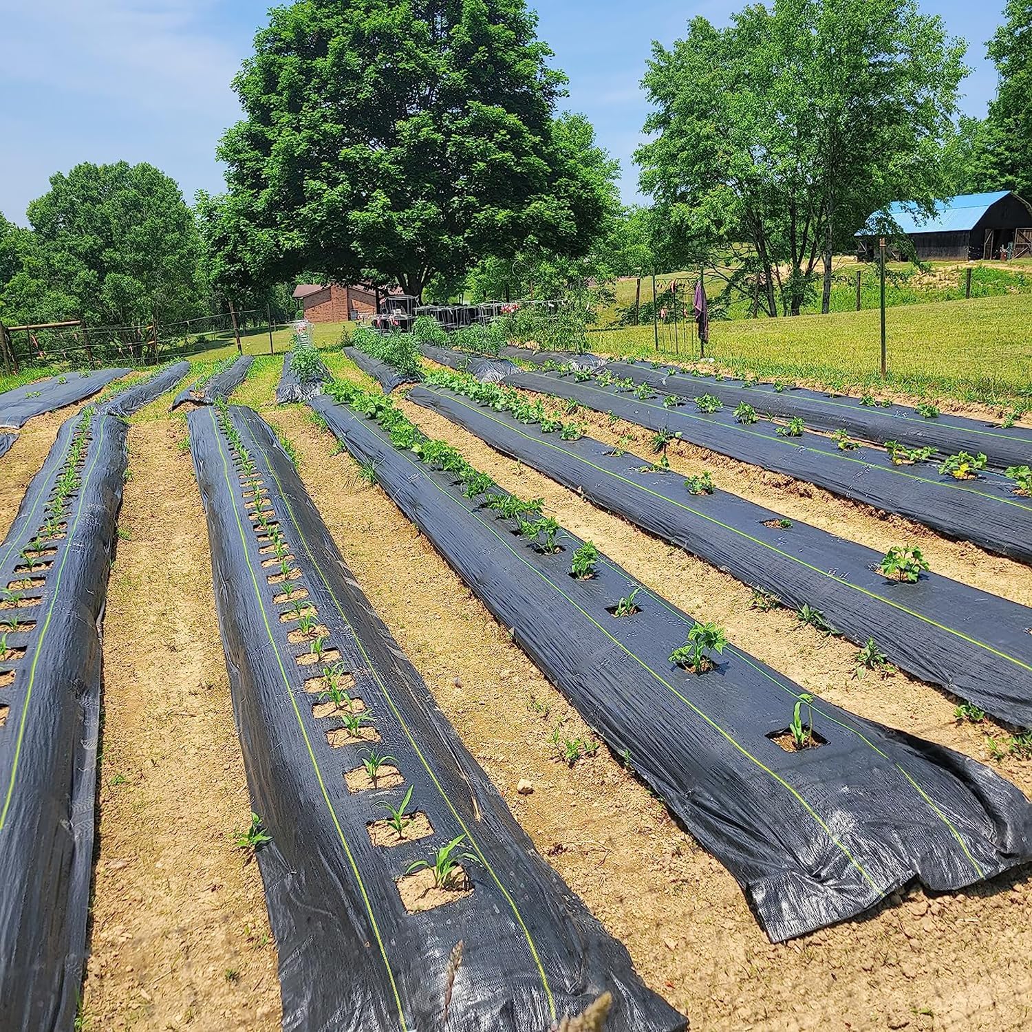 5ft x 300ft Durable Weed Barrier Fabric, 3.2oz Heavy-Duty Landscaping Fabric, Permeable Ground Cover for Garden, Lawn