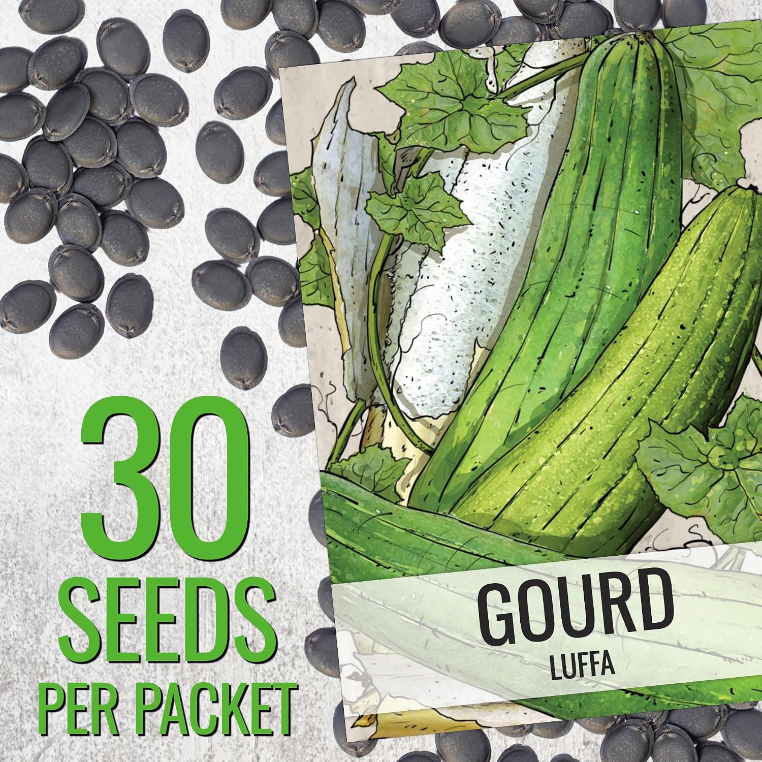 Seed Needs Luffa Seeds for Planting Loofah Sponge Gourd Heirloom 10 Pack