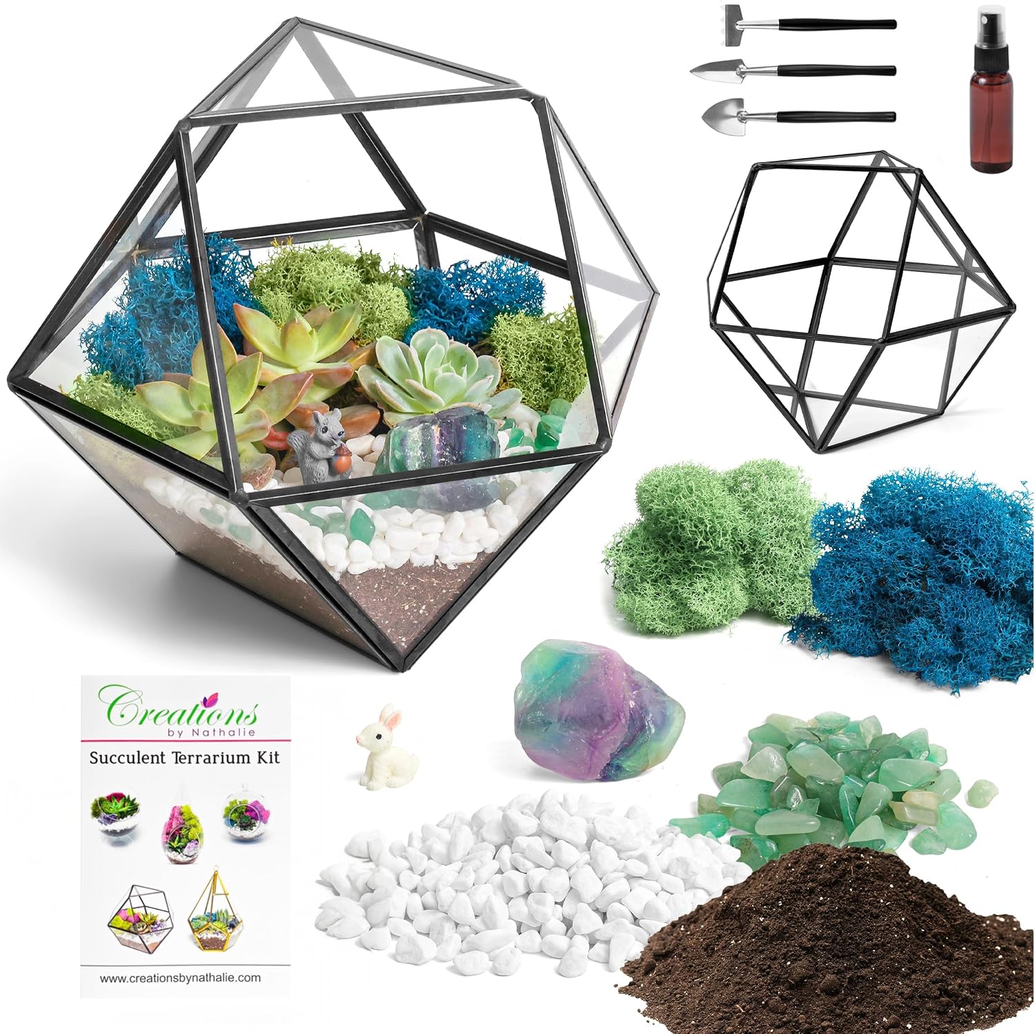 Creations by Nathalie DIY 7" Chalice Glass Terrarium Kit with Moss & Tools | DIY geometric glass terrarium kit with