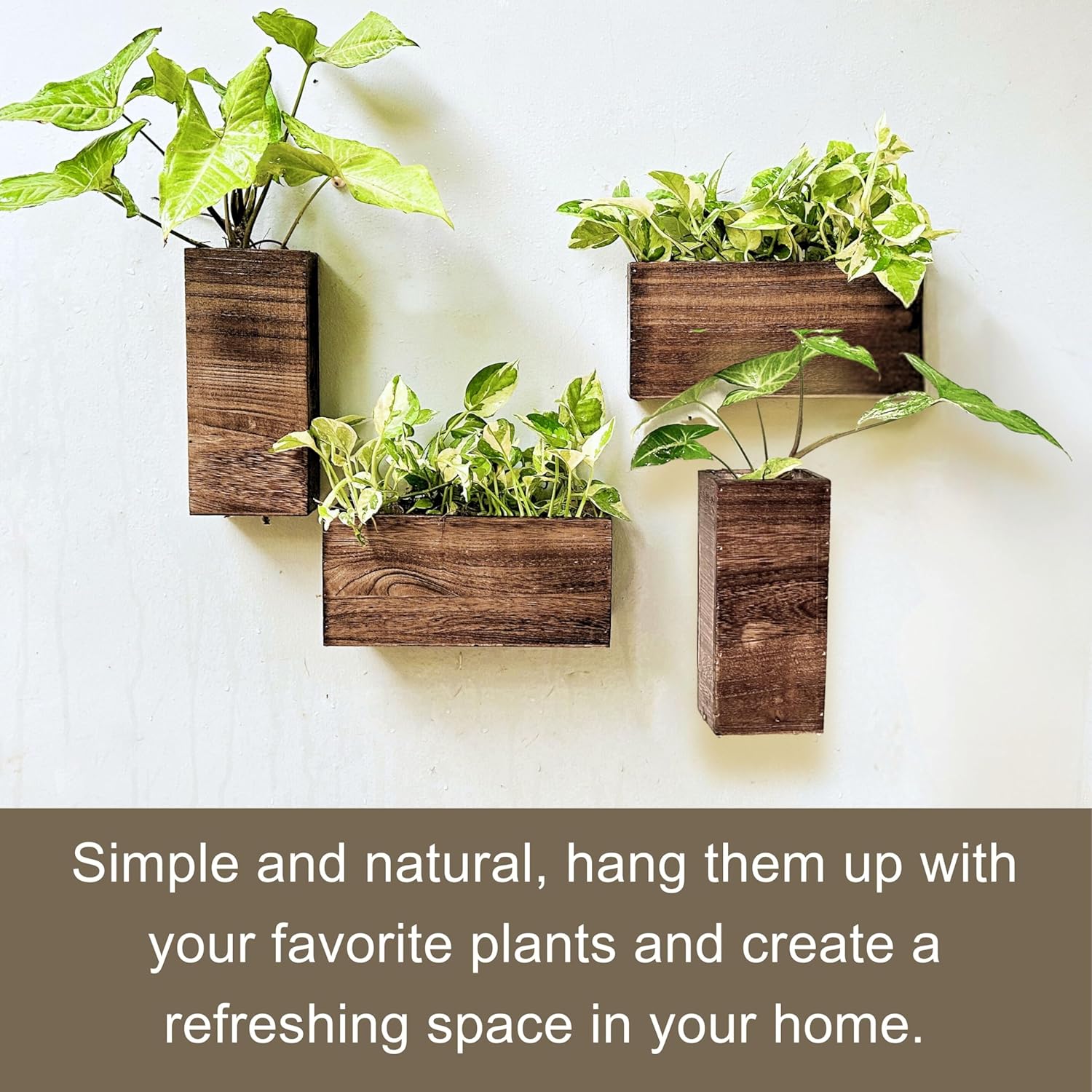 LaLaGreen Wooden Wall Planters (4 Pack) Hanging Wood Planter Box for Plants | Indoor Boxes Plant Holder Vase for Dried