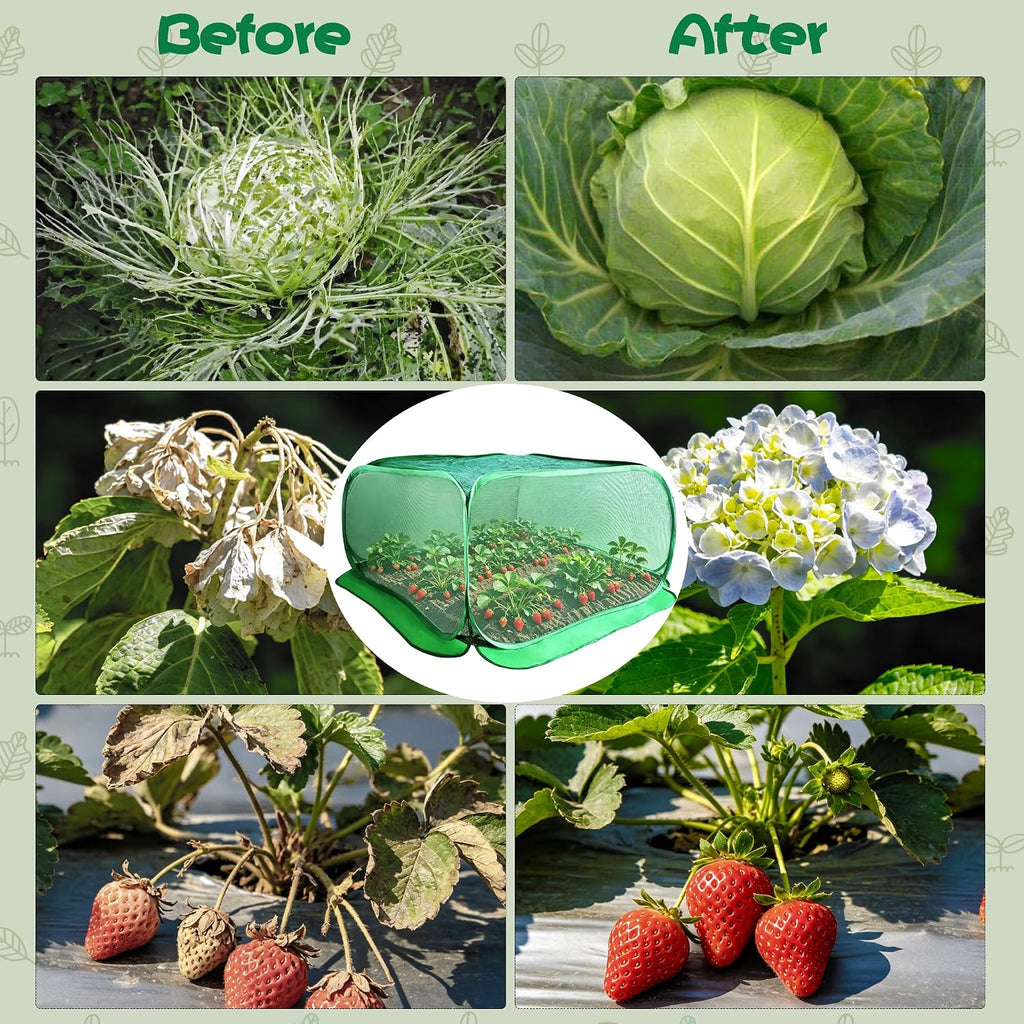 Pop Up Plant Netting Cover 40×40×20” Shade Mesh Cage Shade Top + Mesh Side | Shade Top + Mesh Side
