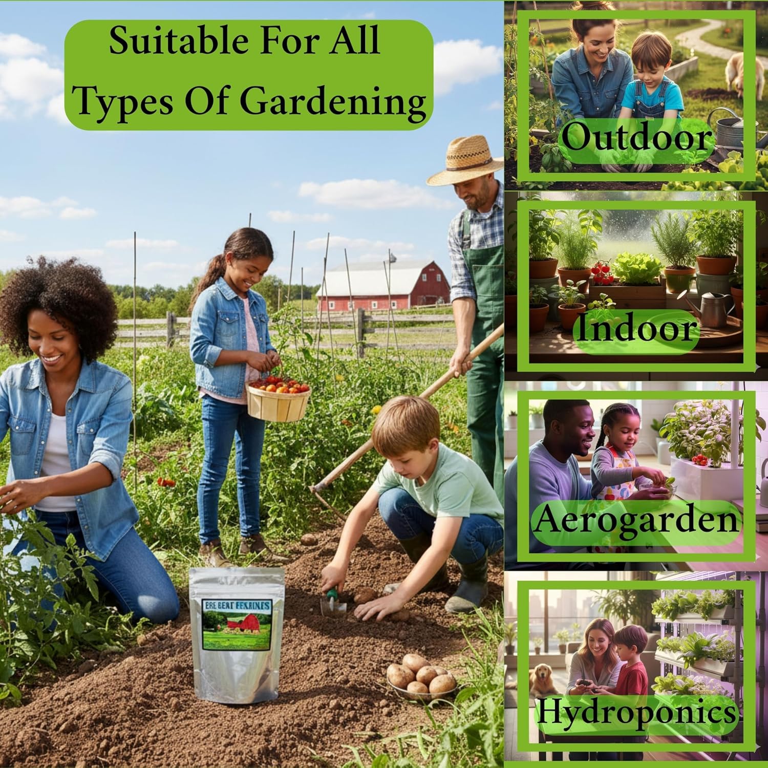 B&KM Farms Regional Garden Starter Kit – 37 Heirloom Varieties, 36,000+ Seeds – Non-GMO Vegetable & Herb Seeds for Deep