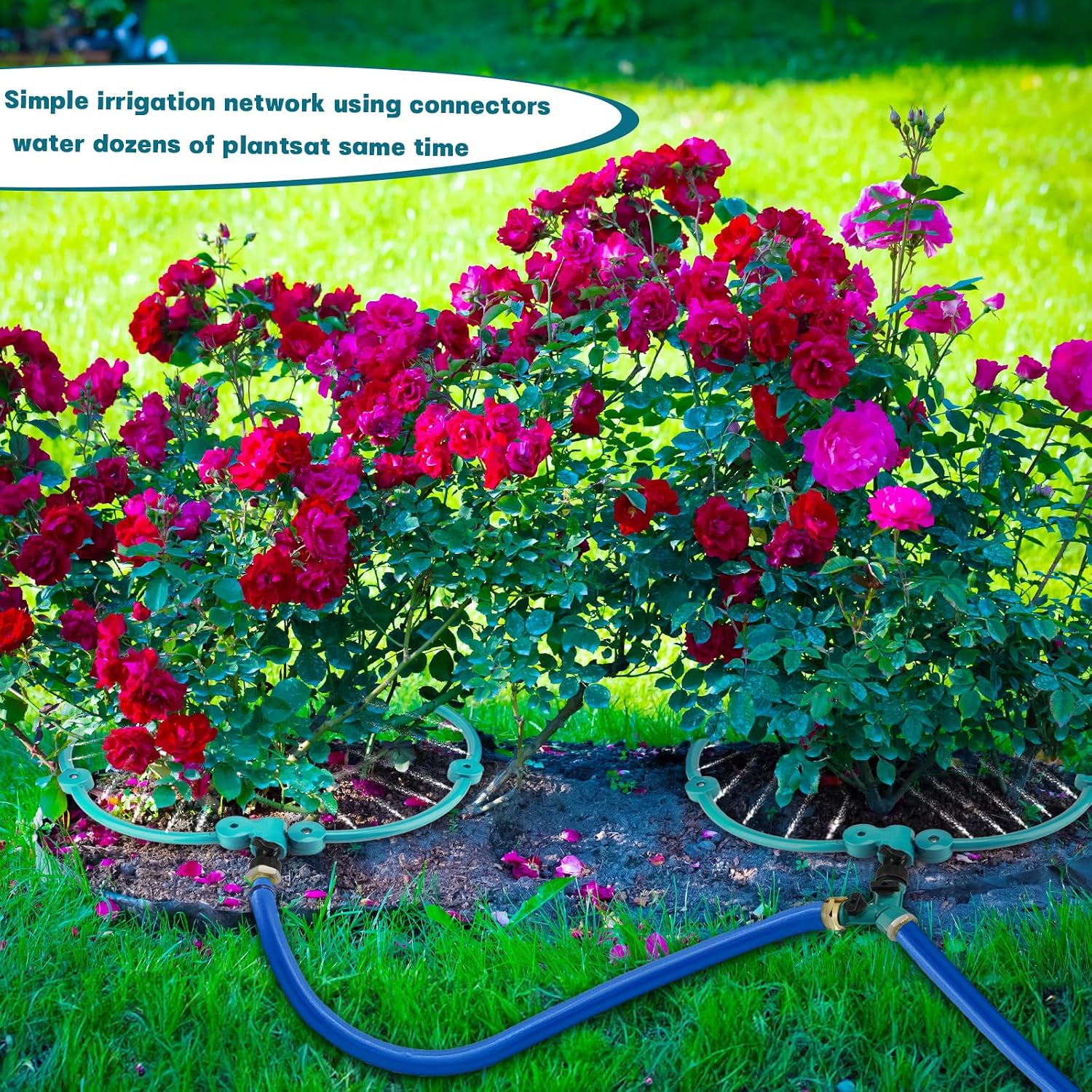 2Pcs 360° Tree Water System Tree Watering Ring 13 Inch Circle Sprinkler and Irrigation System Targeted Water with Y