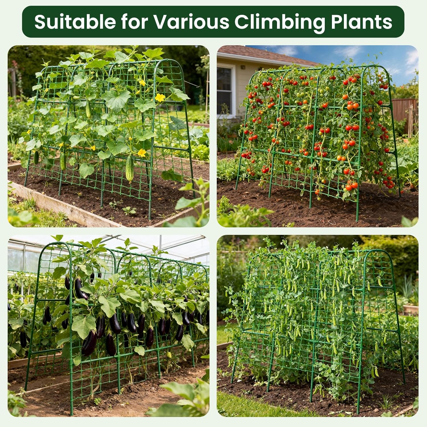 50"x48"Cucumber Trellis, Garden Arch Trellis for Climbing Plants Outdoor | Rustproof Metal Plant Support Vegetable Vine