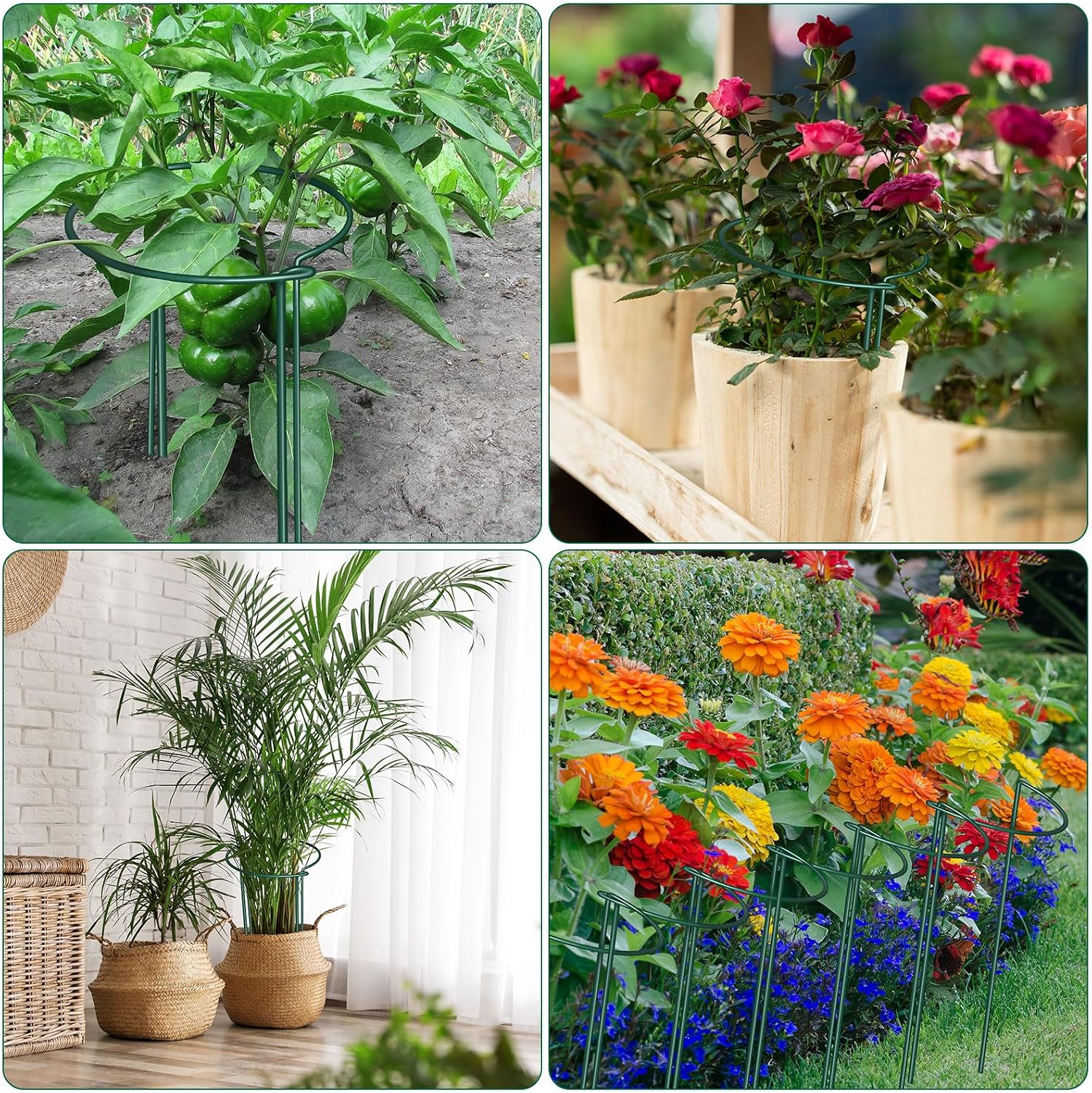 DoubleFill 24 Pcs Snake Plant Support Stakes 10" W x 16" H Half Round Peony Cages and Supports Plant Ring Metal Garden