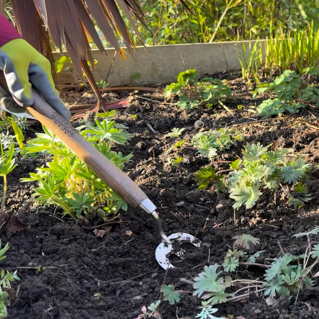 Spear & Jackson Stainless Steel Hand Weed Fork, Durable Gardening Tool for Efficient Weeding and Soil Aeration