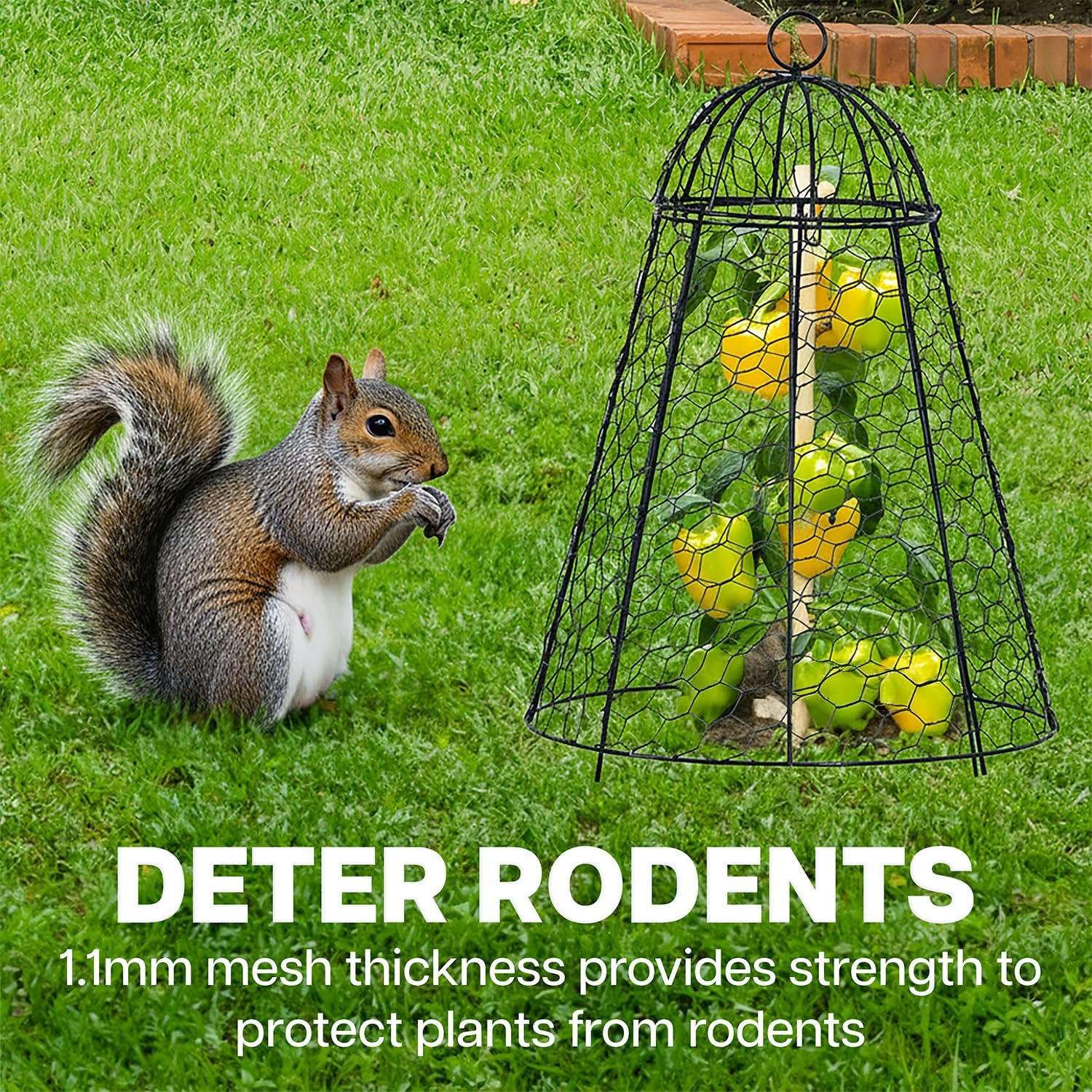 Chicken Wire Garden Cloche Set, Protective Plant Cover for Flowers and Produce with Removable Top, Protection from