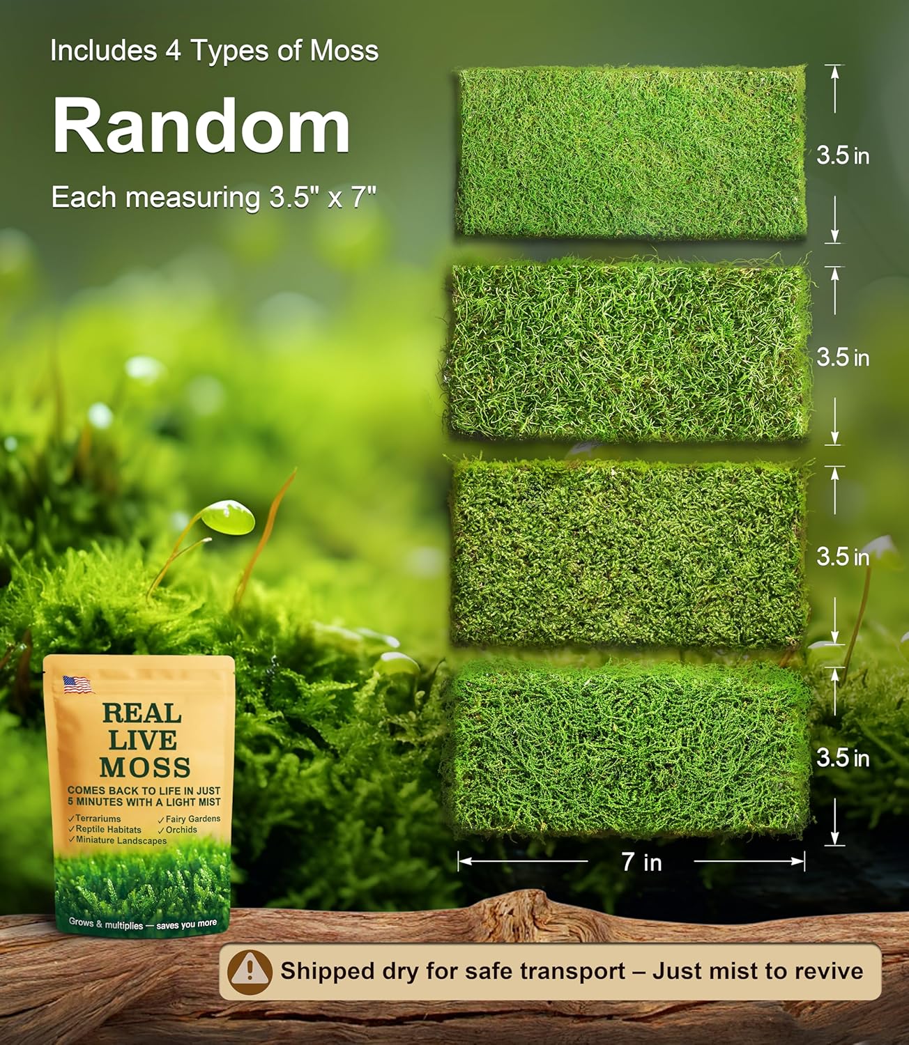 Live Moss 4-Pack for Terrariums,Potted Plants & Floral Decor | Random Varieties, Easy to Revive, Dye-Free, Mixed Green