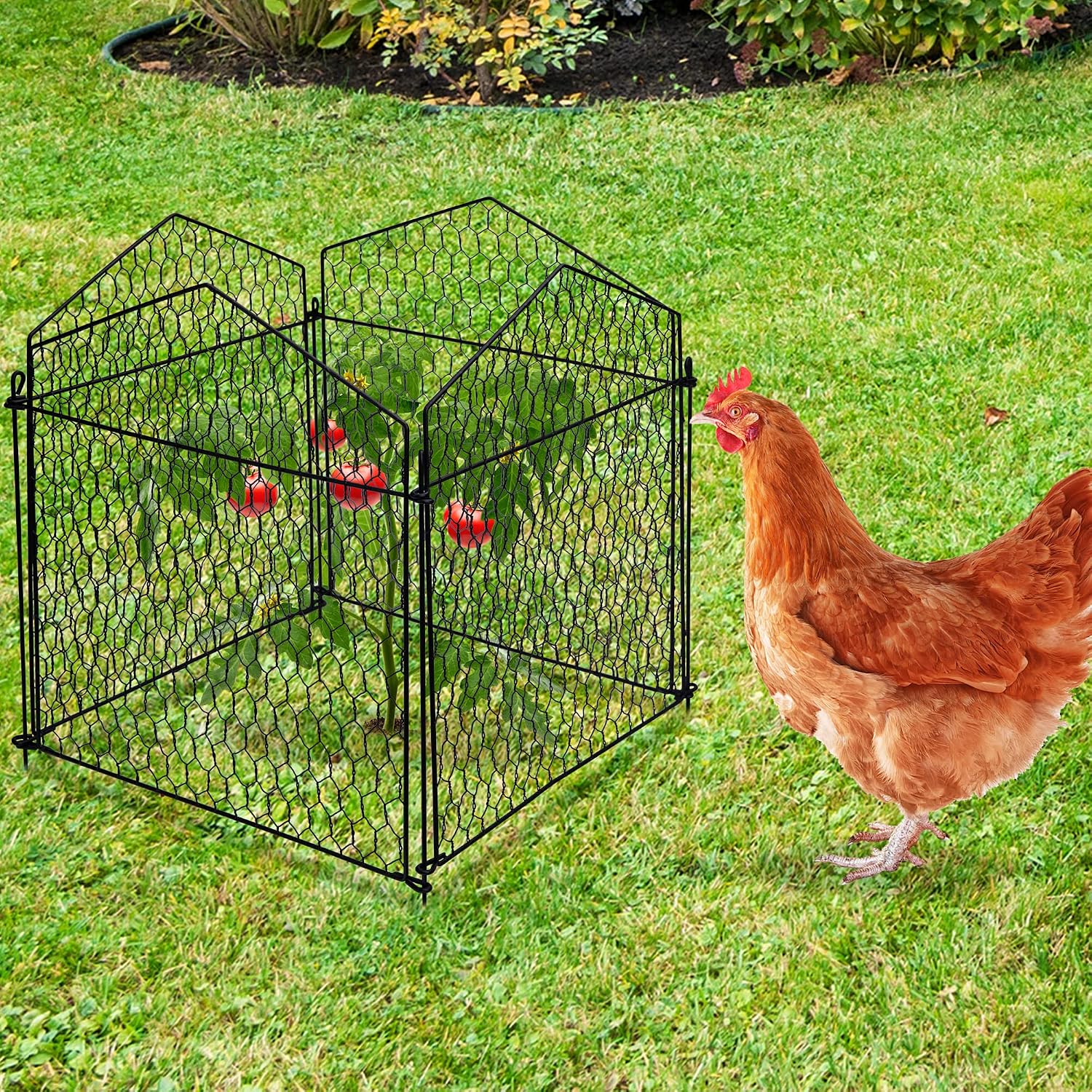 DECOHS 4 Packs Chicken Wire Cloche Plant Protectors from Animals Garden Plant Cage Protector - Wire Plant Protectors to