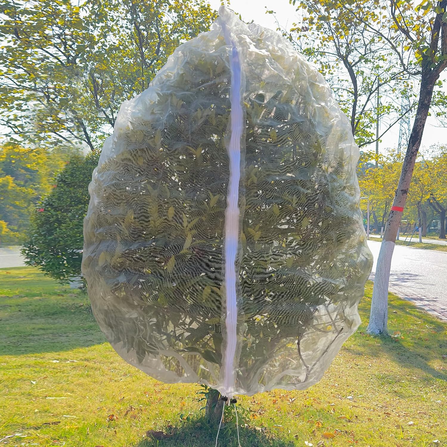 2 Pack 10x10 FT Fruit Tree Netting Apple Blueberry Zipper Drawstring | Heavy Duty Breathable Mesh Tree Net with Zipper