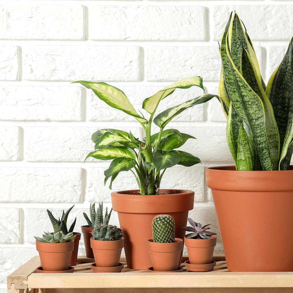 D'vine Dev 18-Pack Terracotta Plant Pots with Saucers, 3 in, 588-A-1-3 | High-Temperature Fired, Unglazed Terracotta