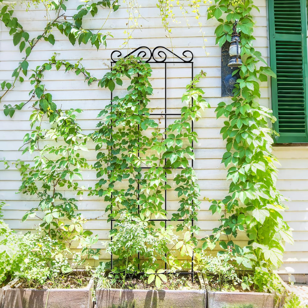 ARIFARO 4Pack 37.5'' Metal Garden Trellis for Climbing Plants Outdoor | Thicken Steel Trellis, For Indoor/Outdoor