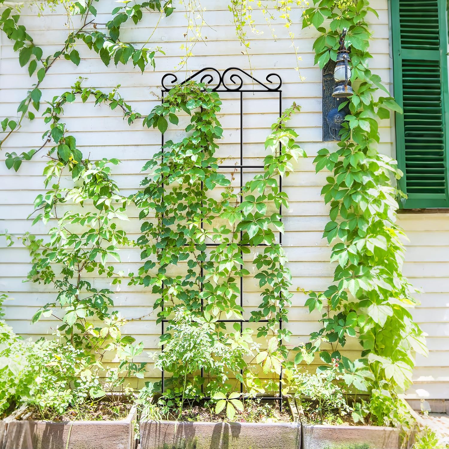 ARIFARO 4Pack 37.5'' Metal Garden Trellis for Climbing Plants Outdoor | Thicken Steel Trellis, For Indoor/Outdoor