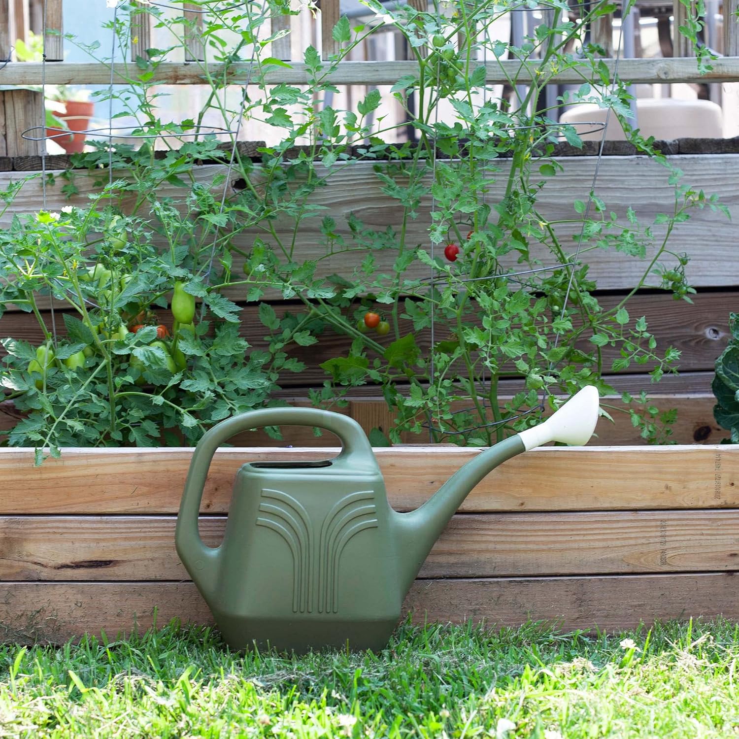 Bloem Promo Watering Can: 2 Gallon Capacity - Living Green - Durable Resin, Removable Nozzle Spout, Two Handles, Wide