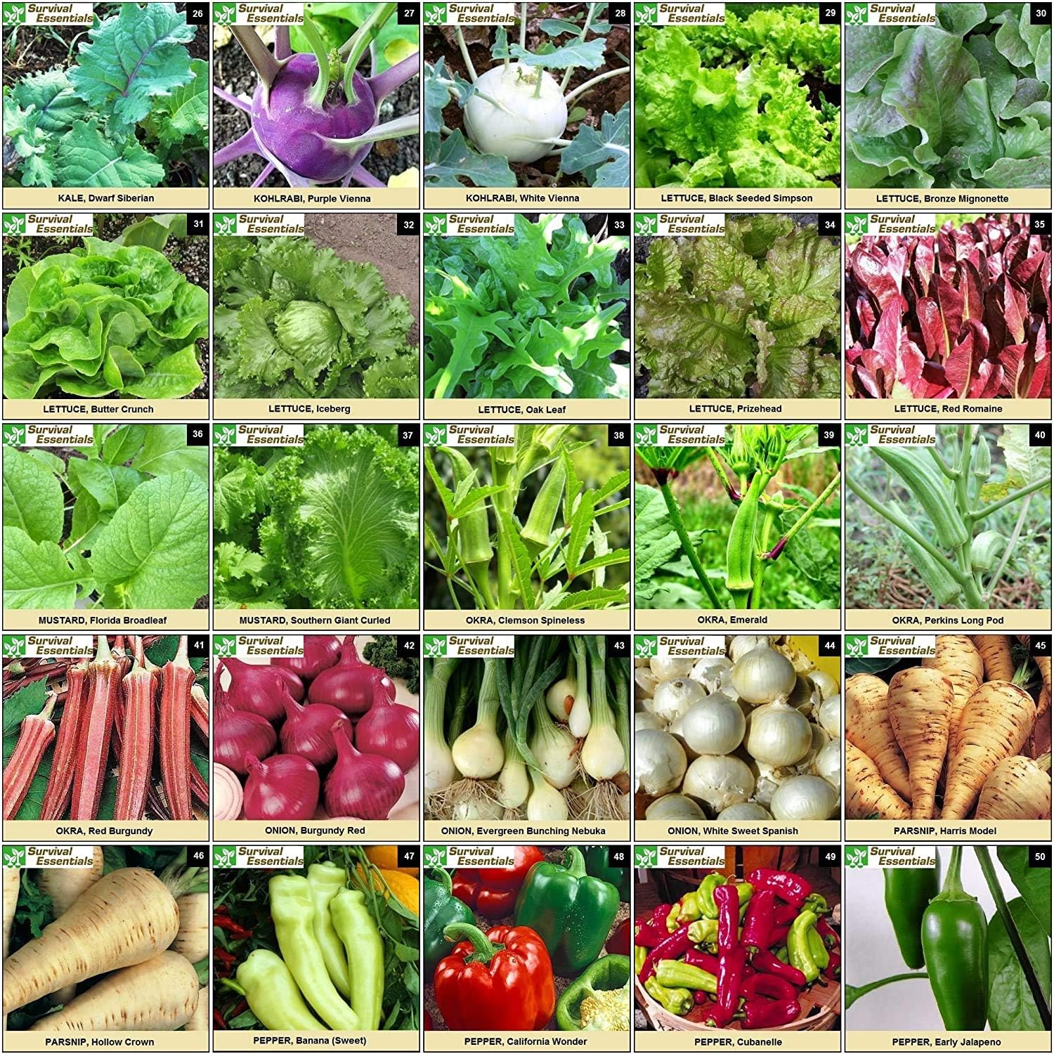 Garden Heirloom Seed Vault, 100 Variety, Over 17,500 Vegetable, Fruit, and Herbs Seeds, Non-GMO, Non-Hybrid, Plus Free