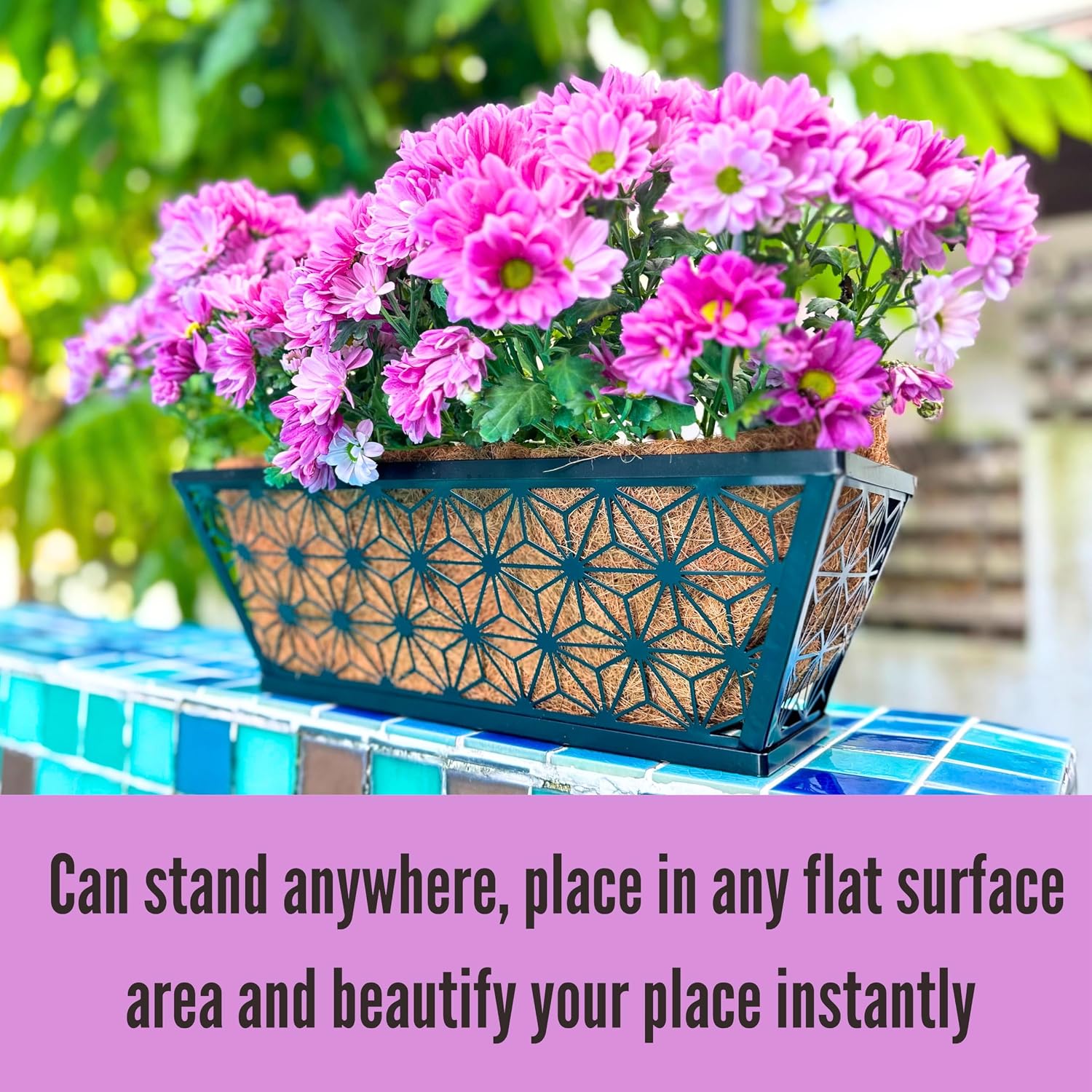 LaLaGreen Window Boxes Planter for Outdoor Plants (2 Pack, 16 Inch) Black Metal Basket Flower Pot Rectangular Wall