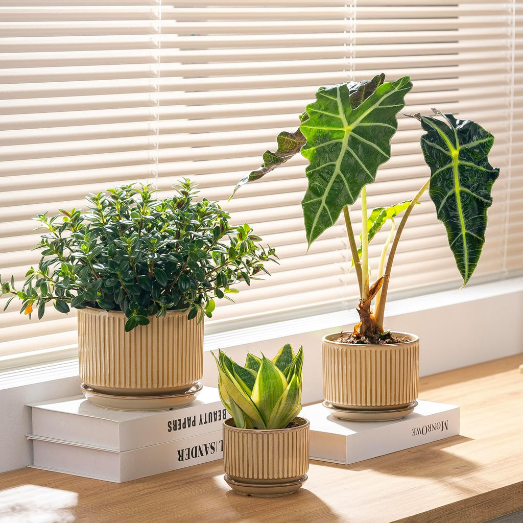 SURE YUESI Ceramic Plant Pots Set of 3, Indoor Outdoor Planters with Drainage Hole and Saucer, Ceramic Flower Pots for