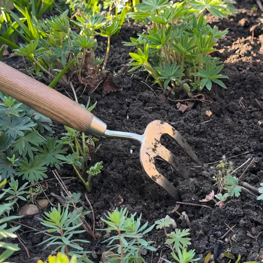 Spear & Jackson Stainless Steel Hand Weed Fork, Durable Gardening Tool for Efficient Weeding and Soil Aeration