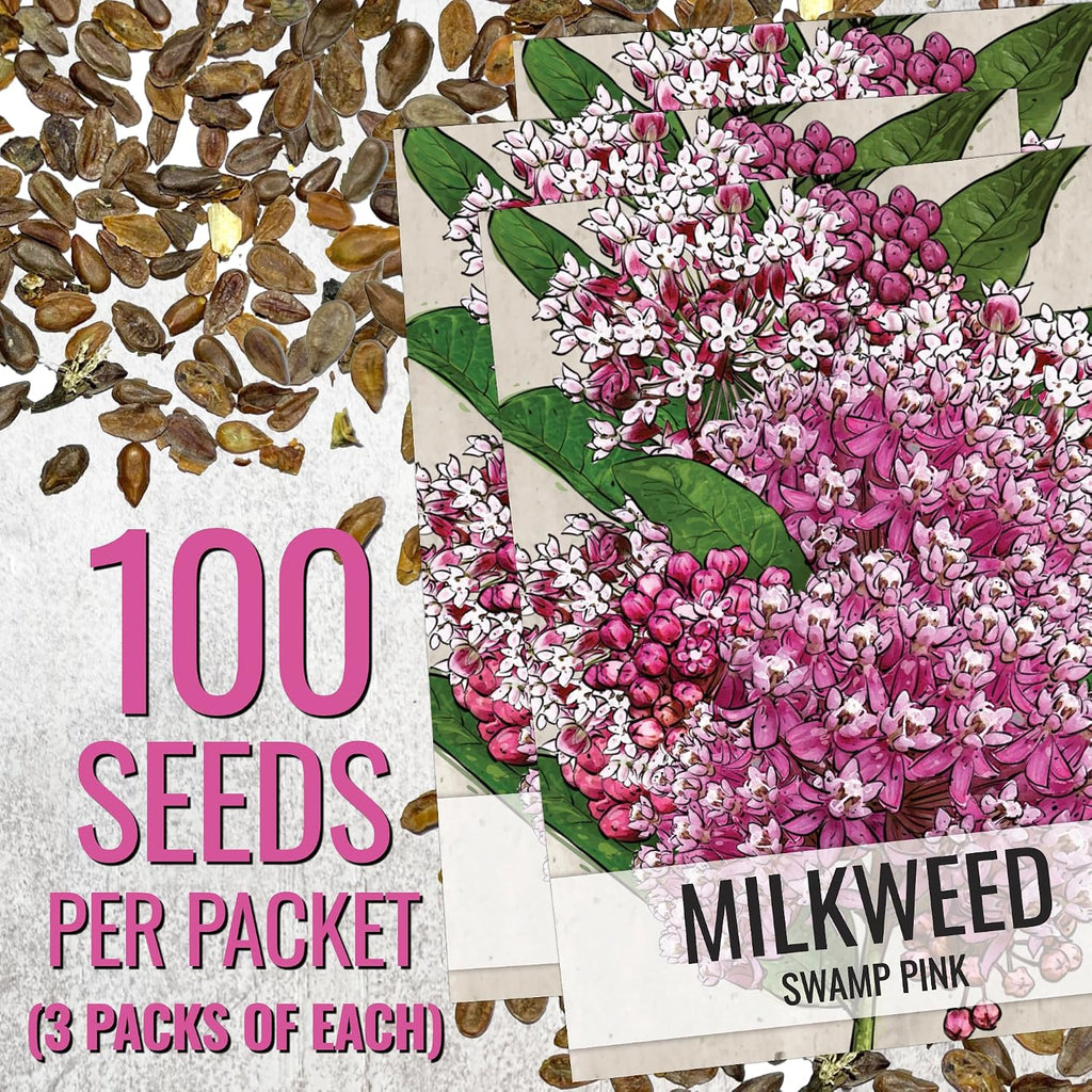 Seed Needs Milkweed Seeds to Plant a Butterfly Garden for Attracting Monarch Butterflies - Collection of Pink, Orange &