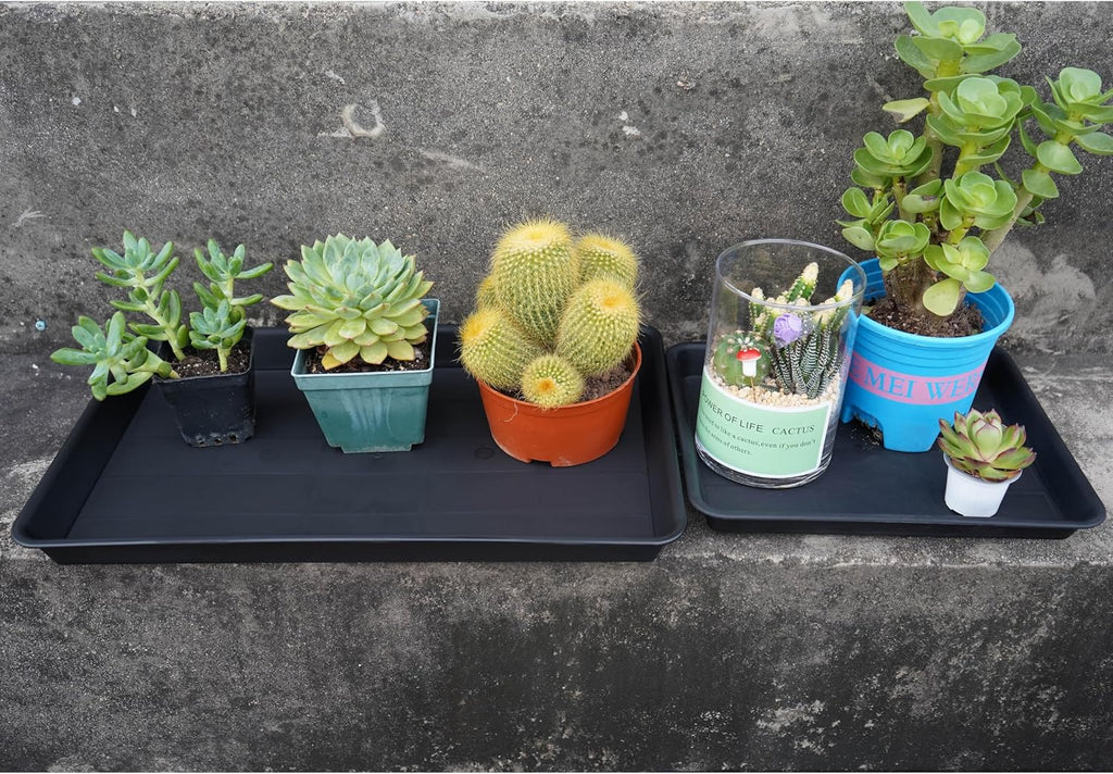VUWEZ 2 Pack Plant Saucer Tray Rectangular, Plant Growing Nursery Trays, Heavy Sturdy Seed Starting Trays, Plants