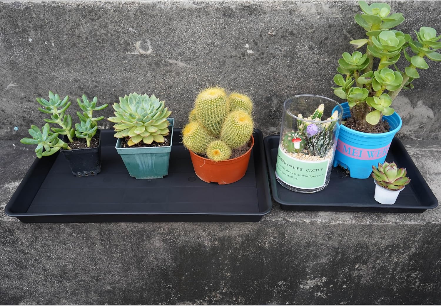 VUWEZ 2 Pack Plant Saucer Tray Rectangular, Plant Growing Nursery Trays, Heavy Sturdy Seed Starting Trays, Plants