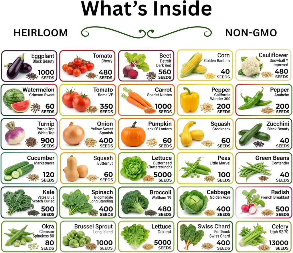 30 Variety Culinary Herb & Vegetable Seed Collection - 30,000+ Heirloom Seeds for Planting: Non-GMO USA Sourced;