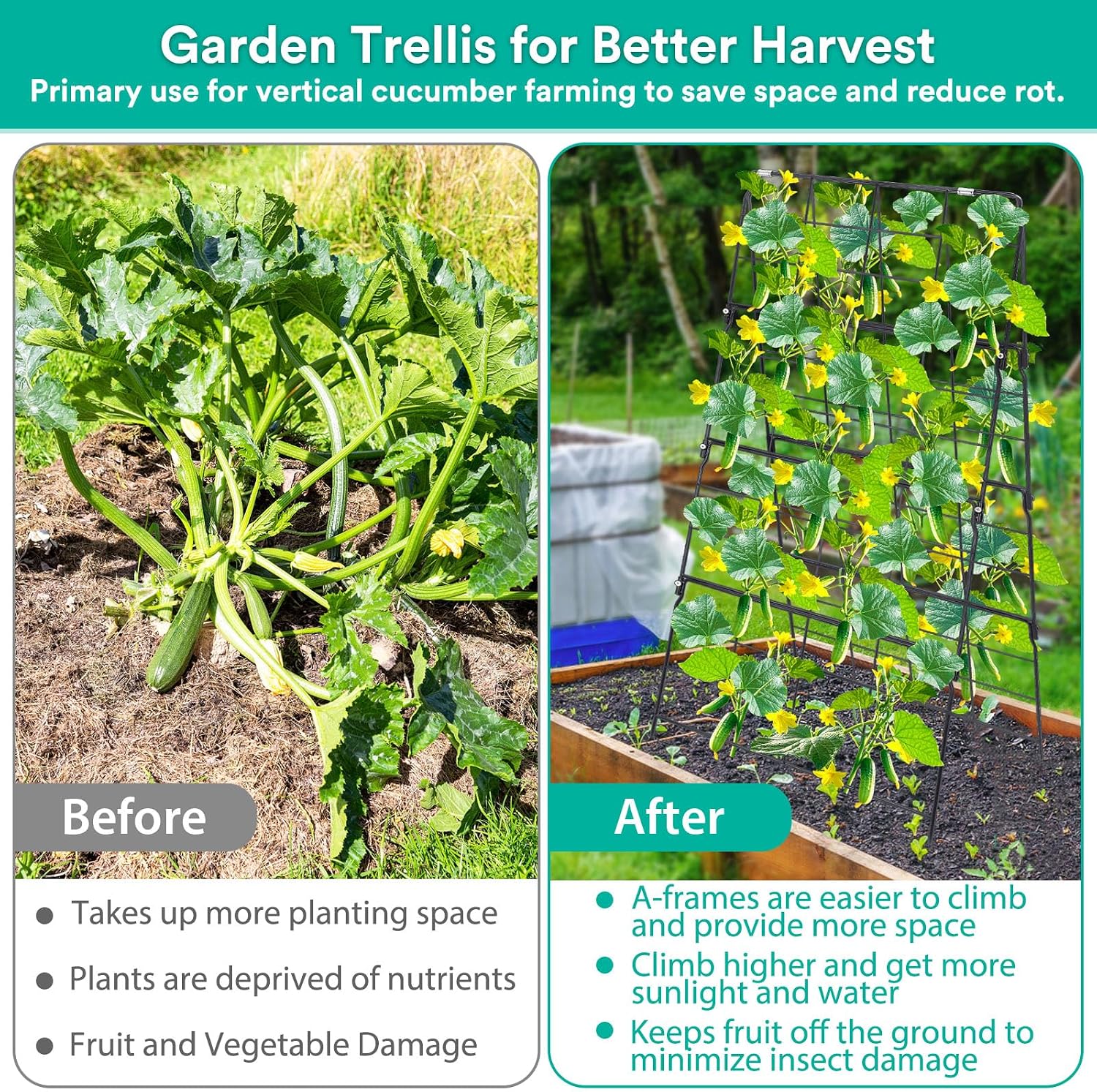 2Packs 17 x 42 Inch Garden Trellis for Raised Beds Foldable Climbing Plant Support Cucumber Trellis Outdoor A-Frame