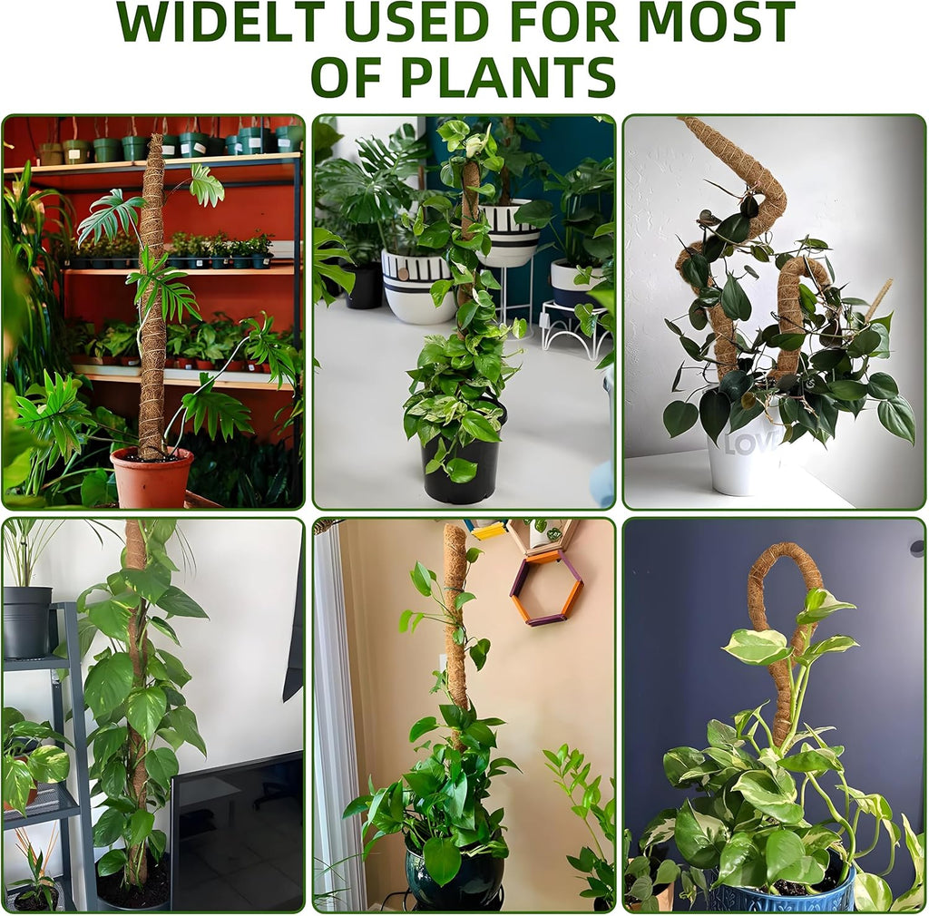 2-Pack 48'' Bendable Moss Poles for Monstera & Climbing Plants – Flexible Trellis Plant Support Stakes with Accessories