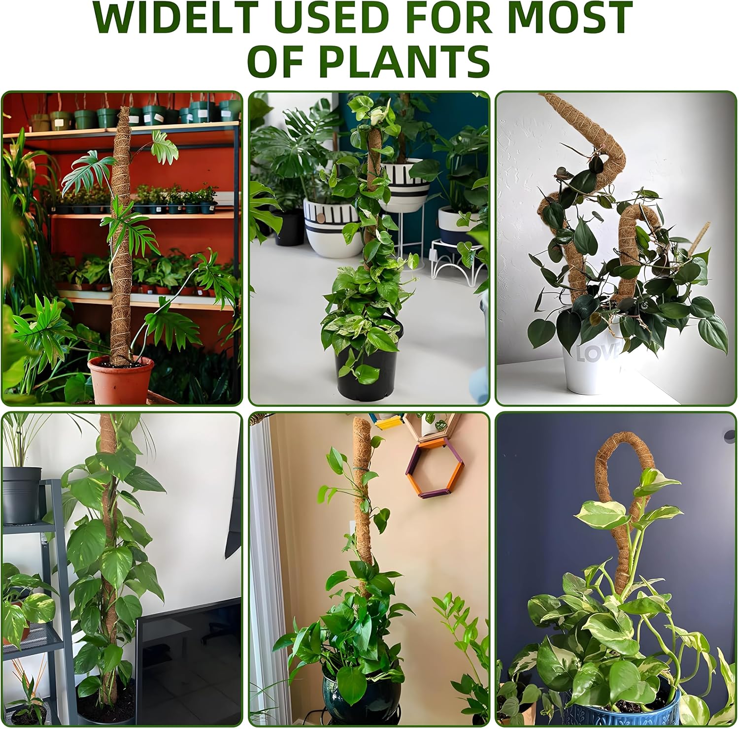 2-Pack 48'' Bendable Moss Poles for Monstera & Climbing Plants – Flexible Trellis Plant Support Stakes with Accessories