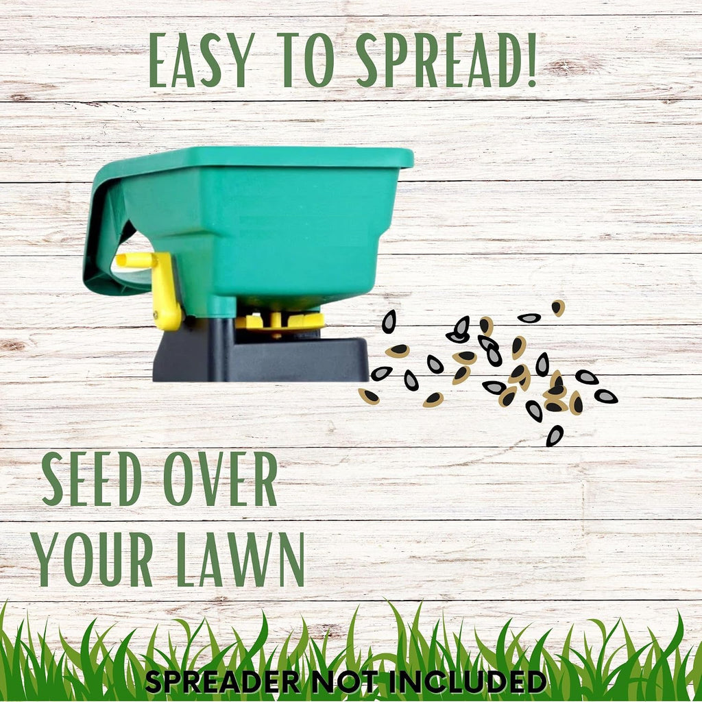 Ruff and Tuff Mow Less Fescue Grass Seed, 2 lbs, Low Maintenance, Family Friendly, Drought Tolerant, Covers up to 1000