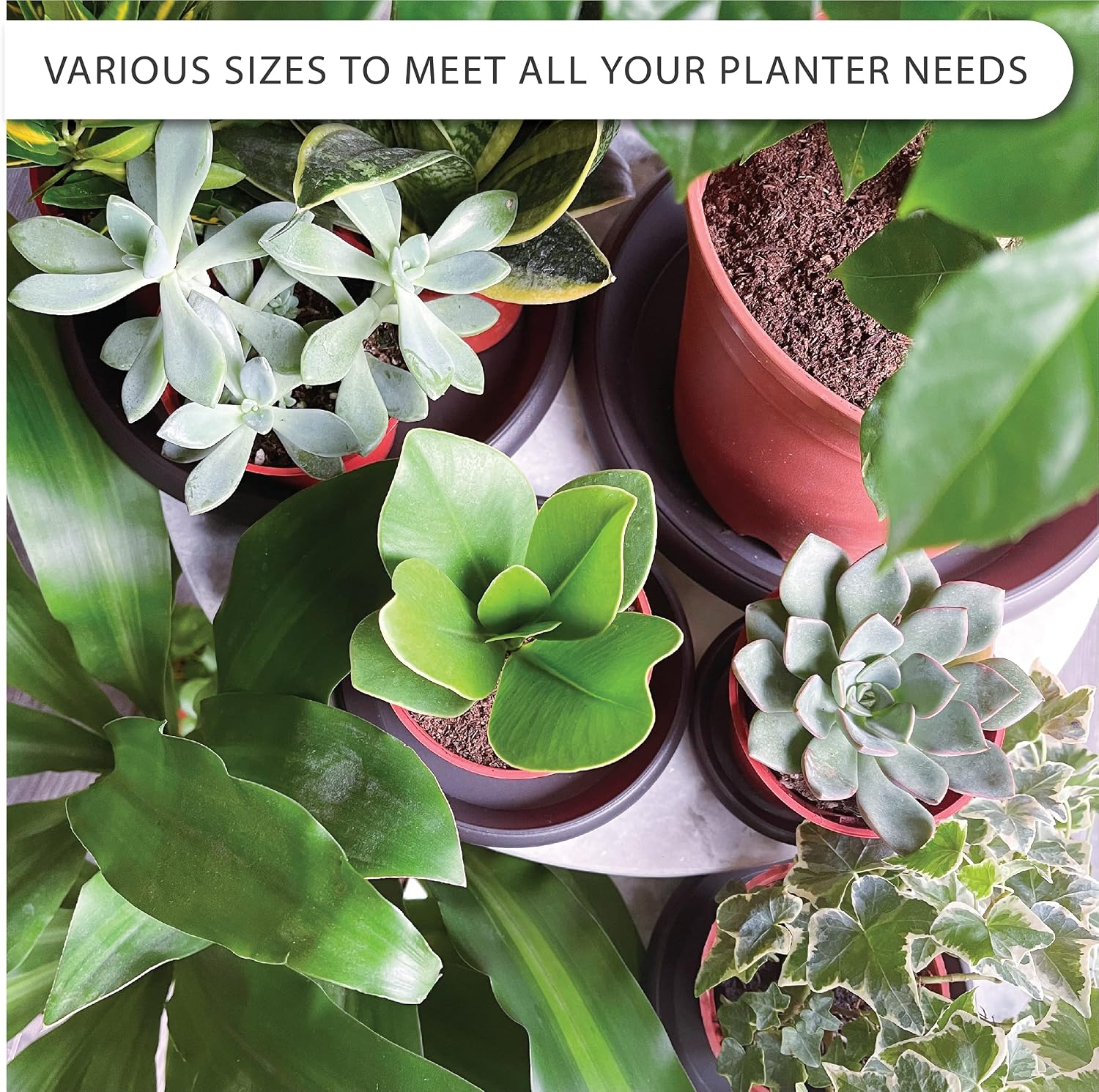 Plant Saucer 6 Pack Drip Trays Planter Pot Base Heavy Duty Plastic Drainage Tray for Indoor Houseplants Outdoor Garden