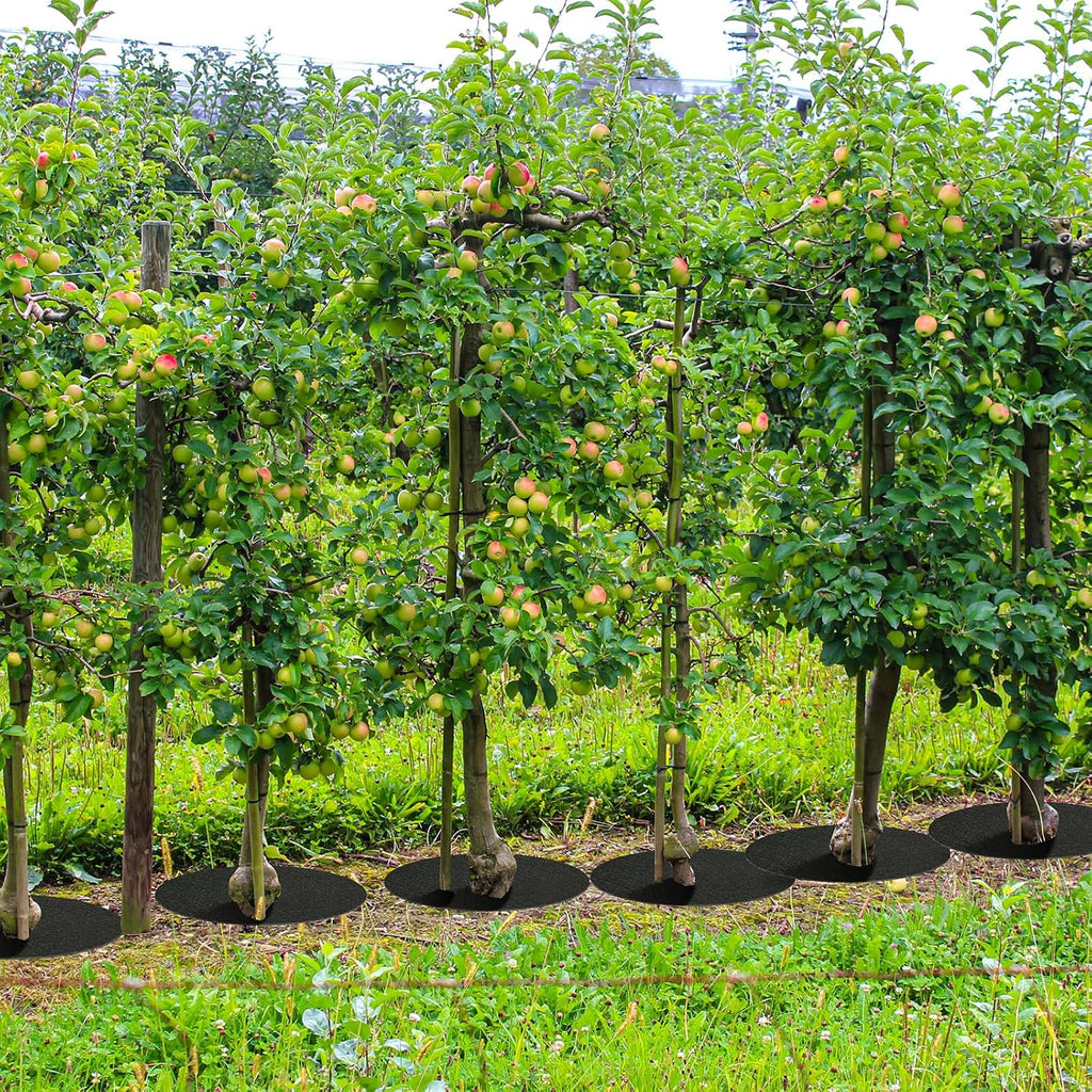 TezhiIe 10 PCS Non Woven Tree Rings, Round 24.4 Inches Base Weed Barrier Fabric Cover, Degradable & Reusable Tree Mulch