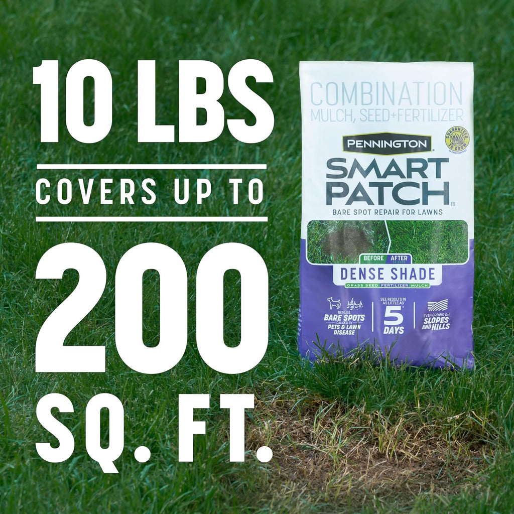 Pennington Smart Patch Dense Shade Grass Seed 10 LB, Bare Spot Repair with Mulch and Fertilizer