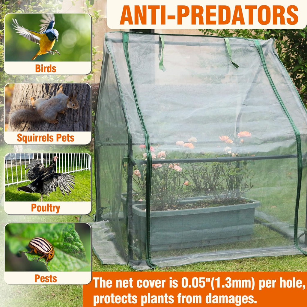 Gardzen Mini Greenhouse with Zipper Mesh Cover 36.2"(L) x36.2(W) x42.5(H) | Steel Frame Portable Outdoor Greenhouse